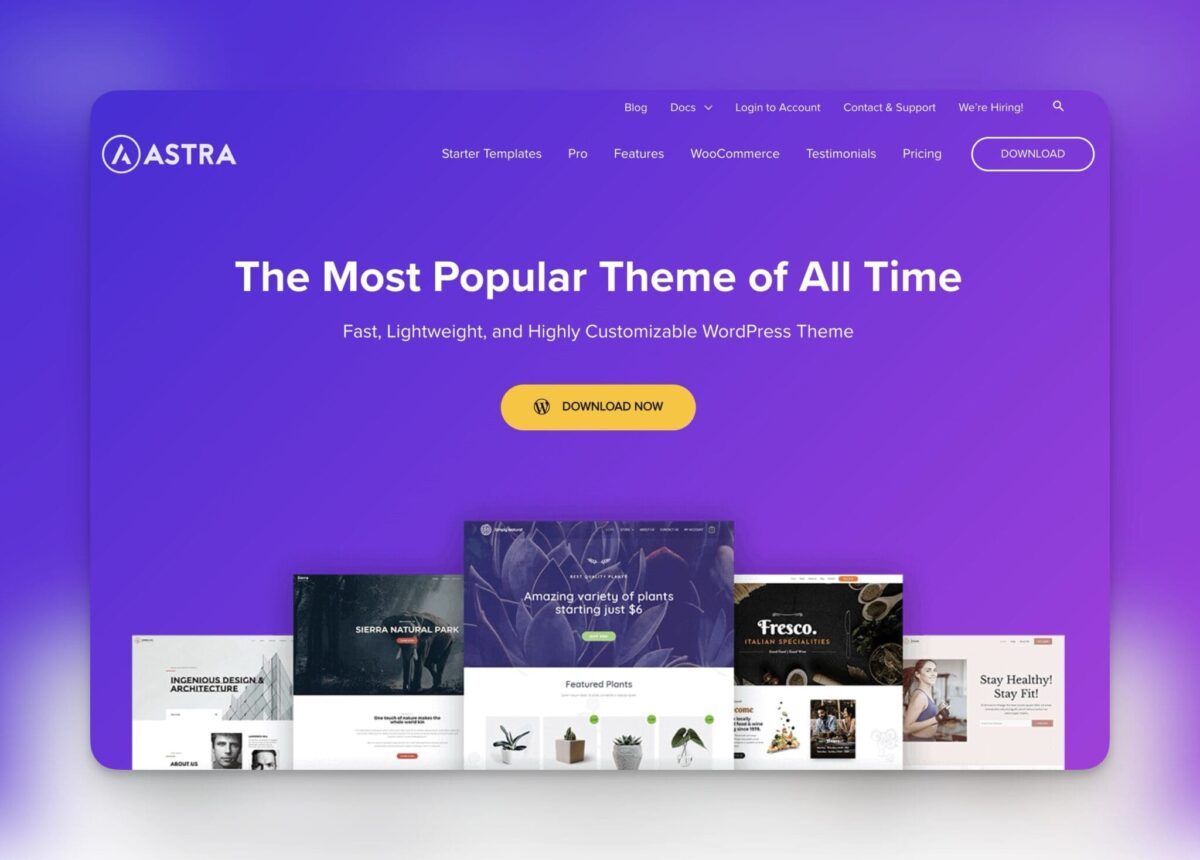 Astra Theme <br>Storsäljande designmall för Wordpress
